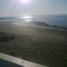 Marco Alejo Apaza Medina