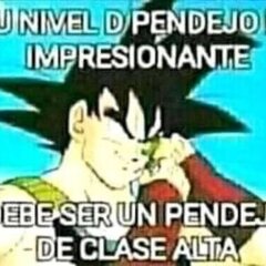 Mamani Arapa Fernando